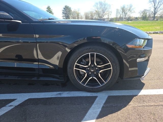 Used 2019 Ford Mustang Coupe w/ Equipment Group 101A image 4