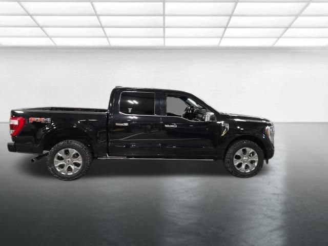 Used 2021 Ford F150 Platinum w/ Equipment Group 701A High AWD/4WD image 3