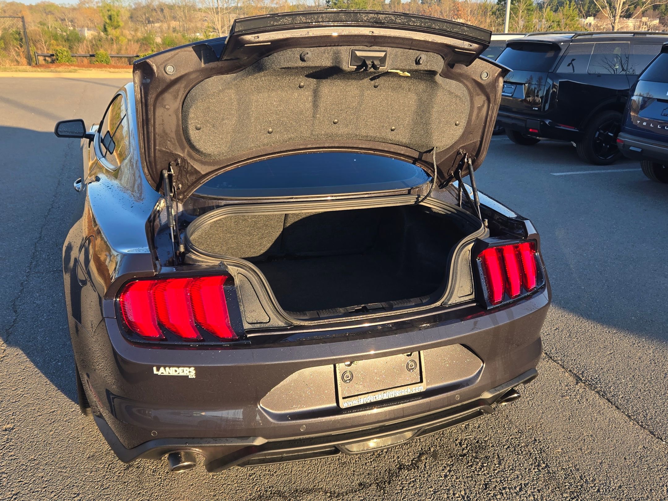 Used 2023 Ford Mustang EcoBoost w/ Equipment Group 101A image 12