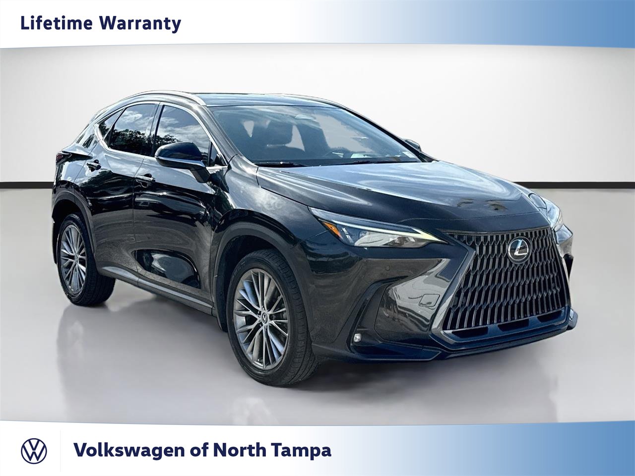 Used 2023 Lexus NX 350h AWD