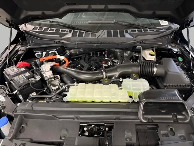 New 2025 Ford F150 XLT w/ Equipment Group 301A Standard image 20