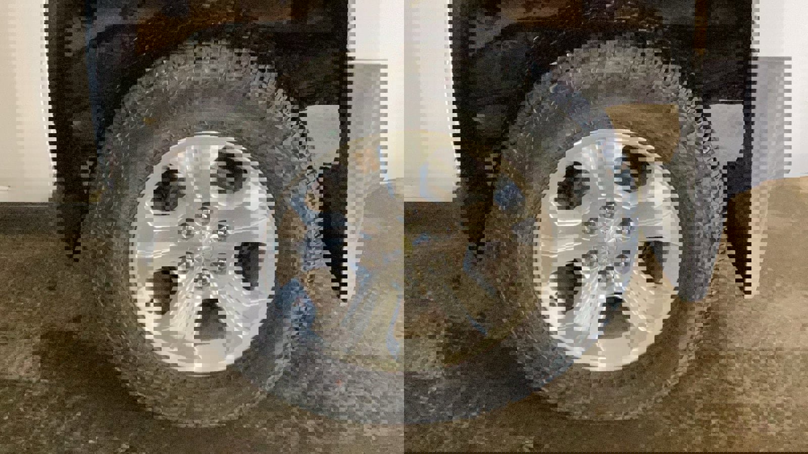 Used 2017 Chevrolet Silverado 1500 LT w/ All Star Edition image 8