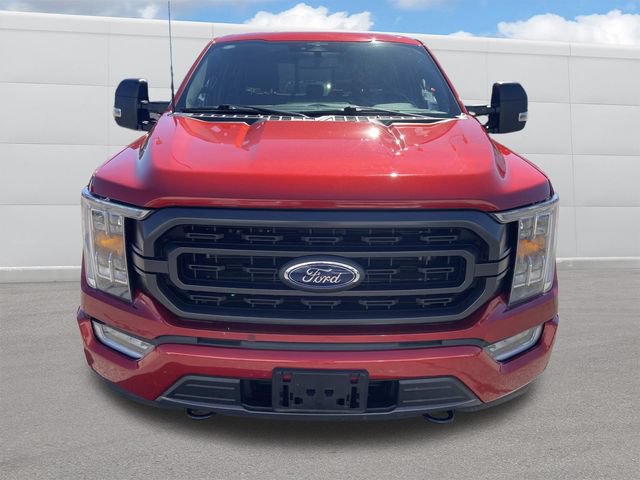 Used 2023 Ford F150 XLT w/ Equipment Group 302A High AWD/4WD image 11