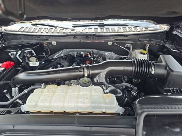 Used 2025 Ford Expedition Platinum AWD/4WD image 16