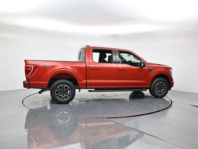 Used 2023 Ford F150 XLT w/ Equipment Group 302A High AWD/4WD video 2