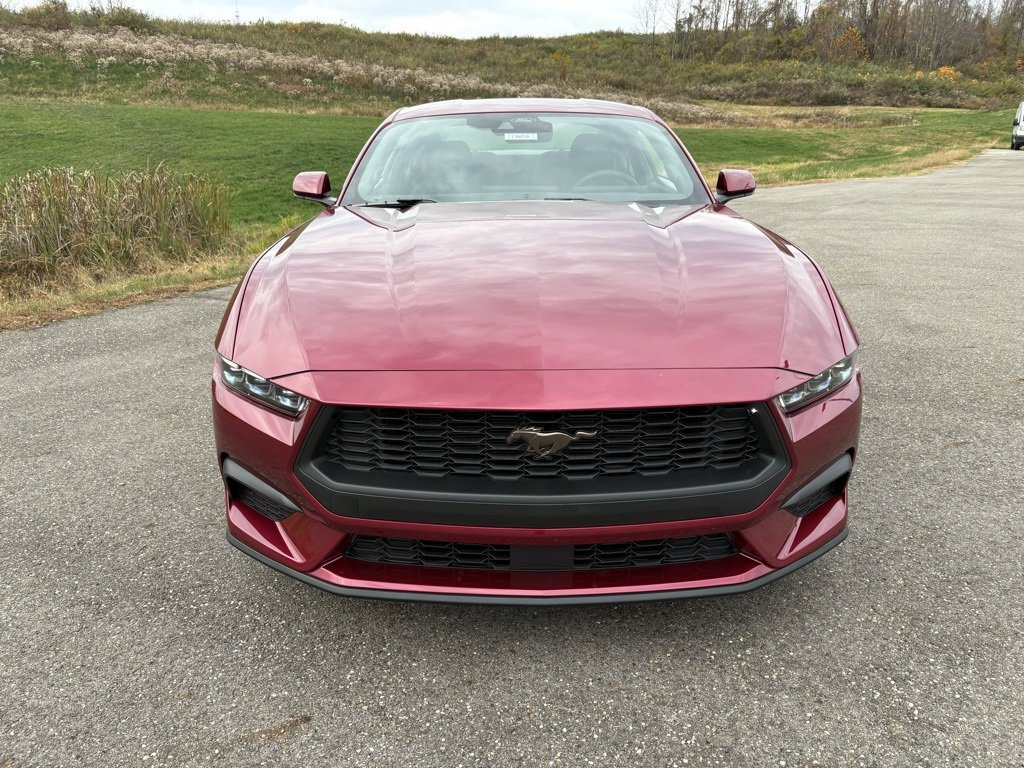 New 2026 Ford Mustang EcoBoost w/ Bronze Appearance Package image 8