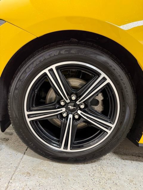 Used 2024 Ford Mustang Premium image 11