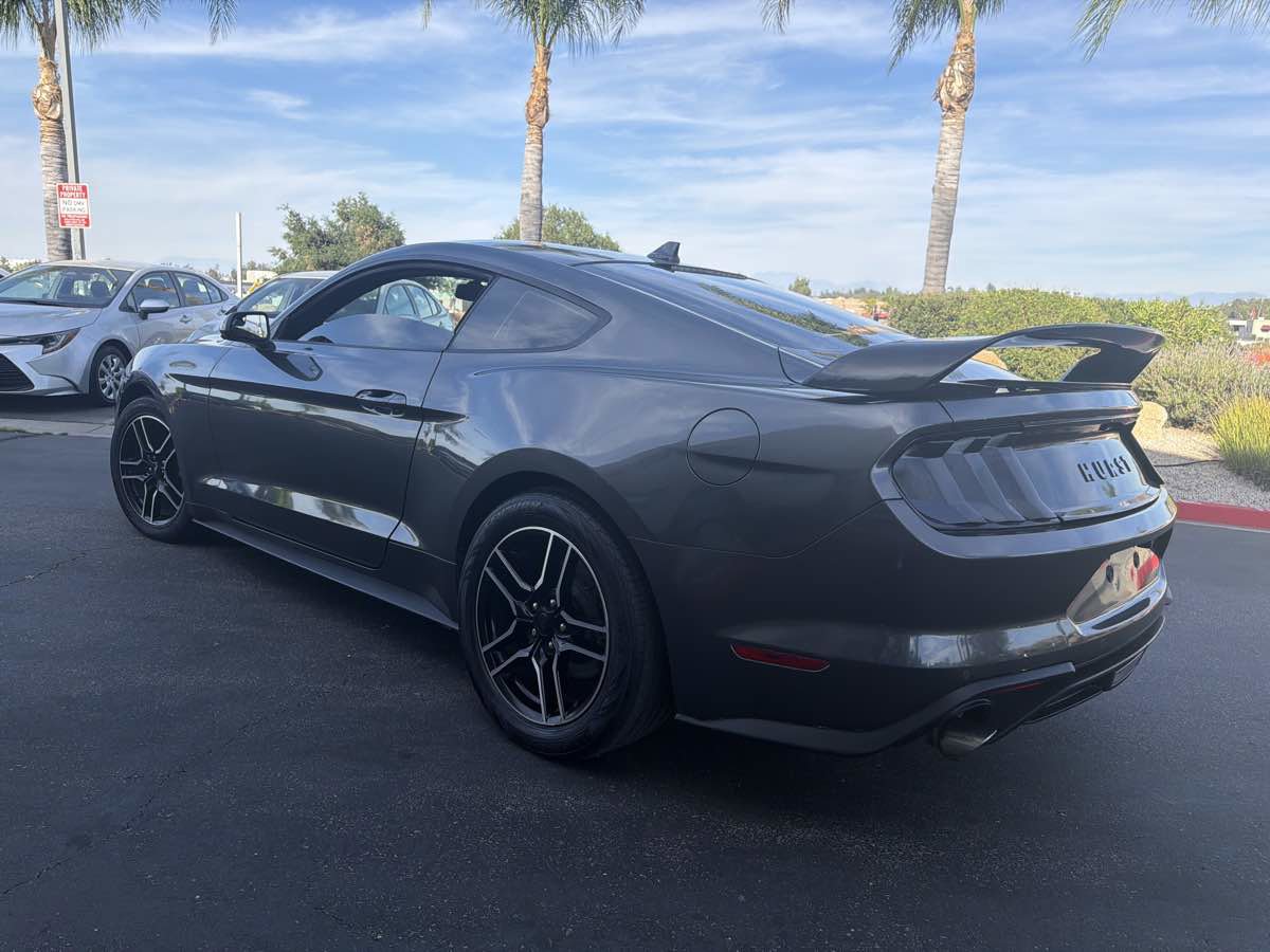 Used 2020 Ford Mustang EcoBoost w/ Equipment Group 101A RWD image 5