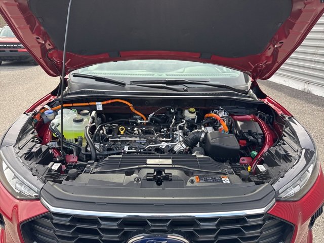 New 2025 Ford Escape ST-Line w/ Equipment Group 301A image 37