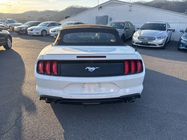 Used 2018 Ford Mustang Premium image 7