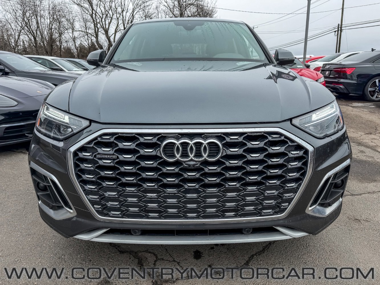 Used 2023 Audi Q5 2.0T Premium Plus w/ Premium Plus Package image 3