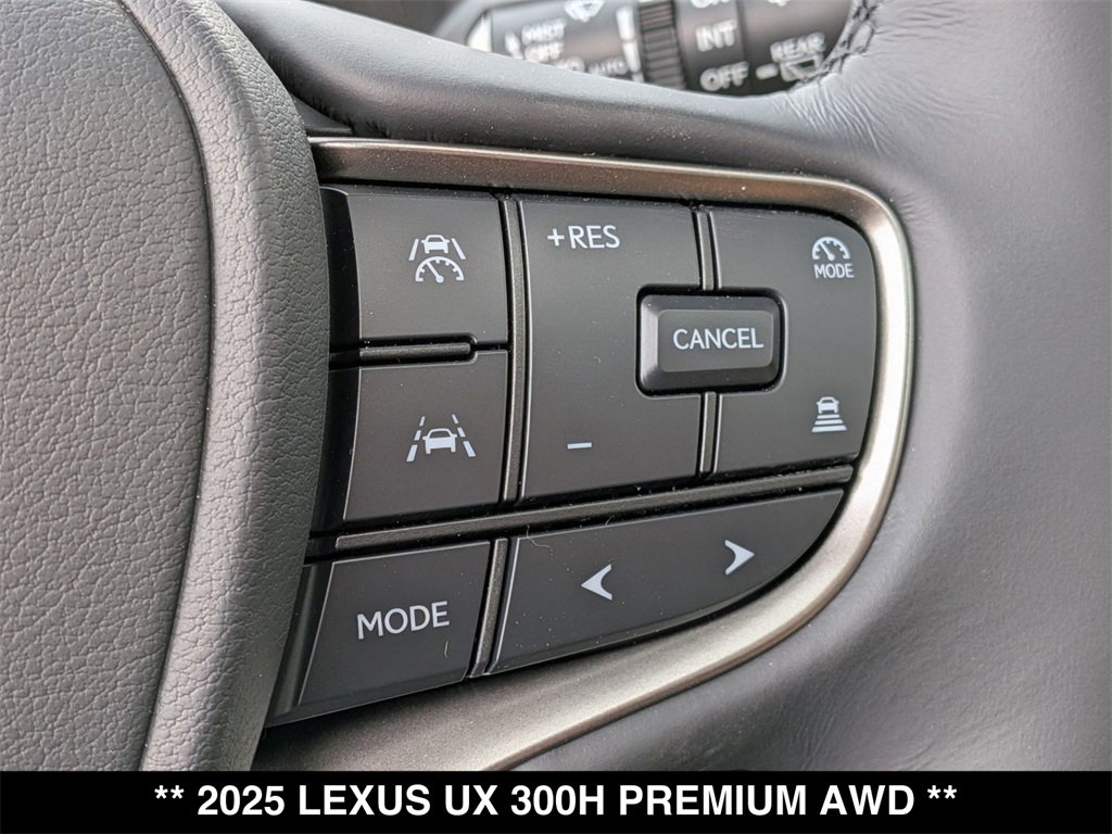 New 2025 Lexus UX 300h AWD w/ Cold Area Package image 19