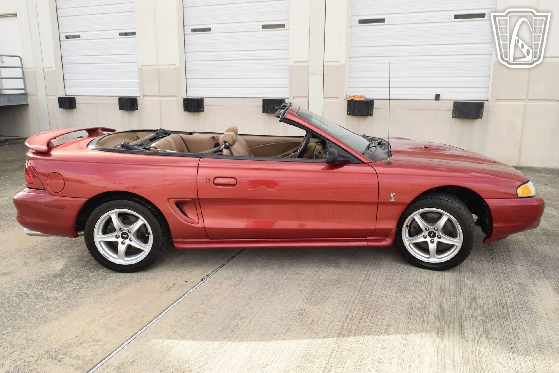Used 1998 Ford Mustang Cobra image 15