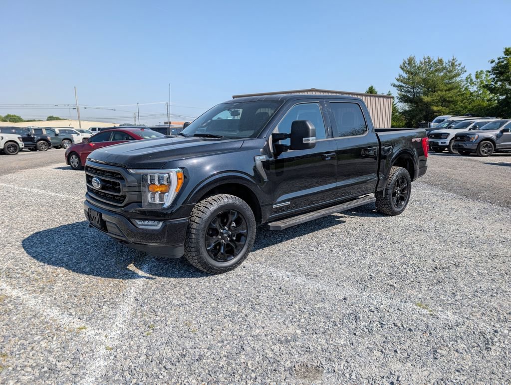 Used 2023 Ford F150 XLT w/ Equipment Group 302A High AWD/4WD image 2