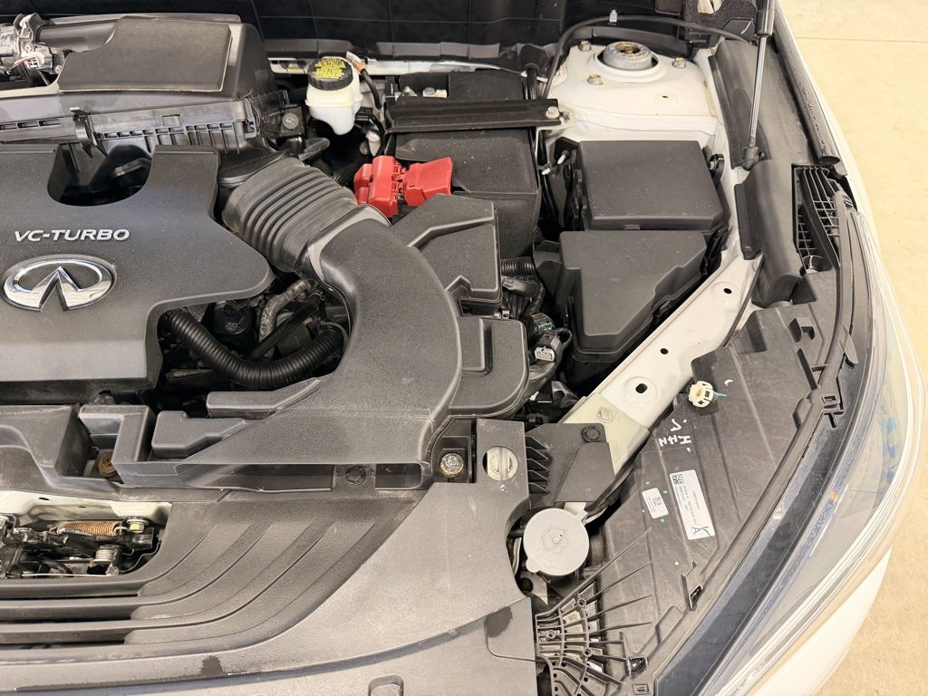 Used 2019 INFINITI QX50 Luxe w/ Cargo Package image 28