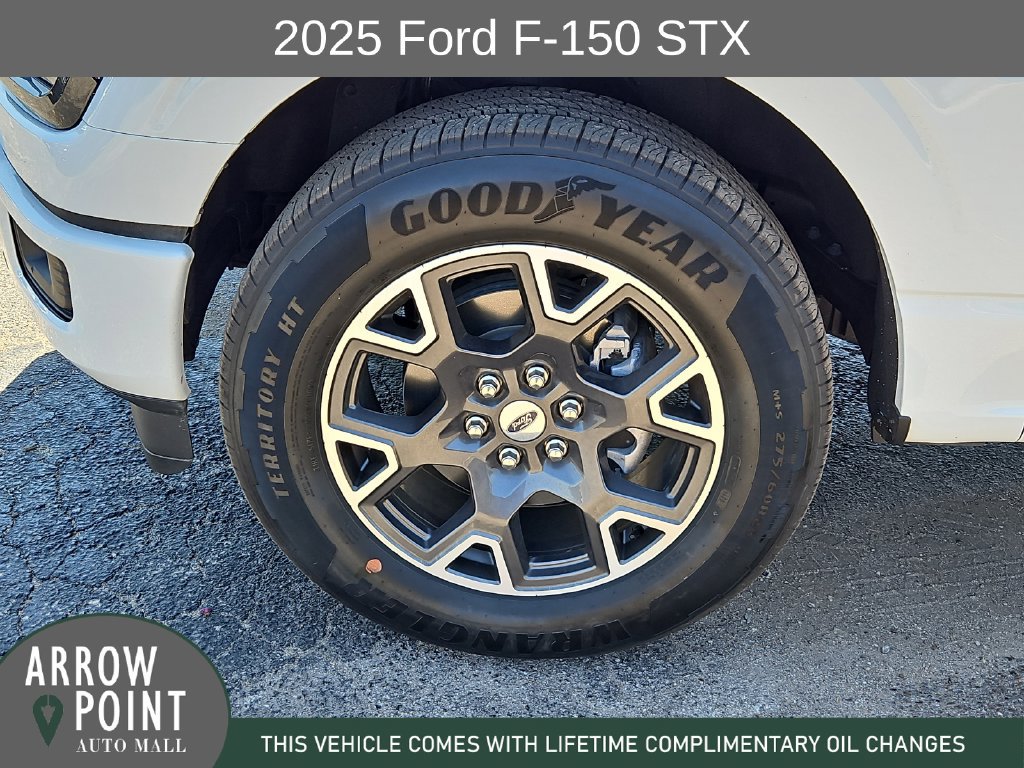 Used 2025 Ford F150 STX w/ Equipment Group 200A RWD image 16