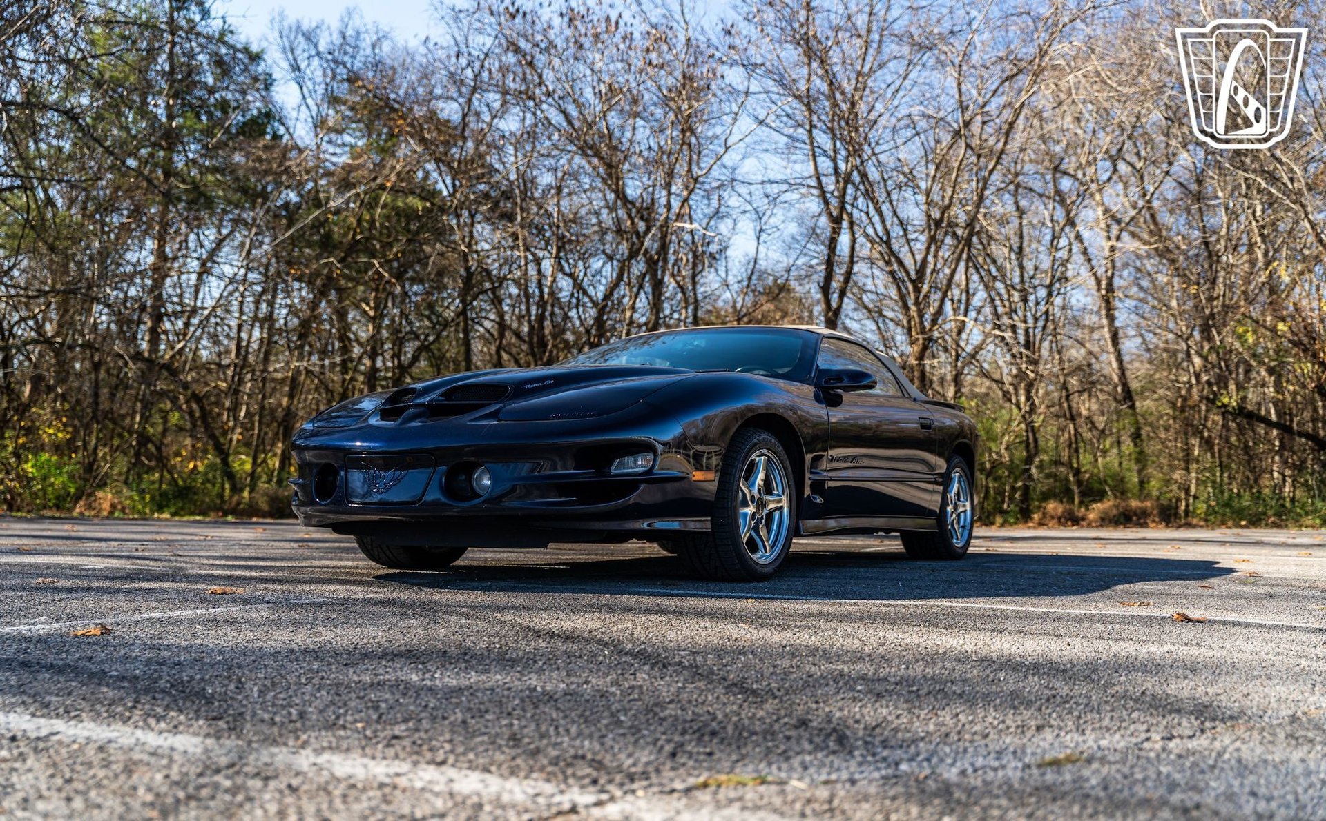 Used 2000 Pontiac Firebird Trans Am image 13