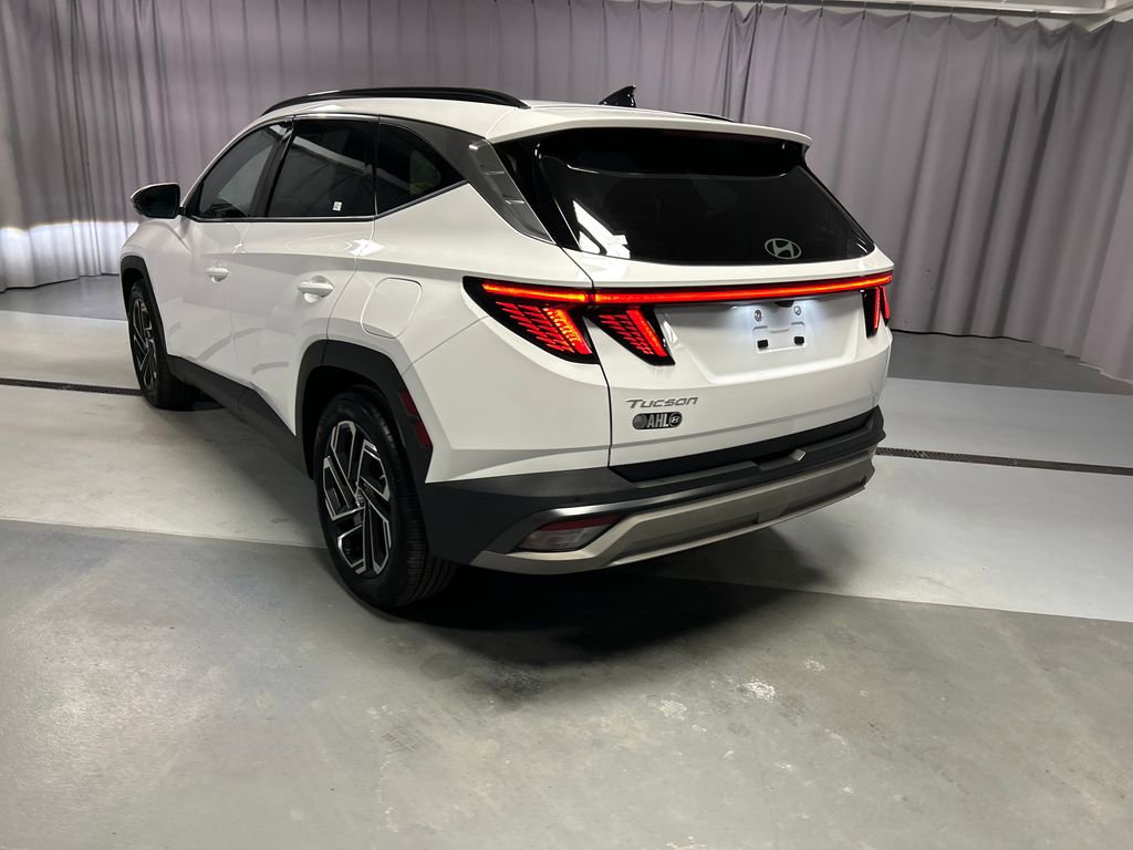 Used 2025 Hyundai Tucson Limited image 5