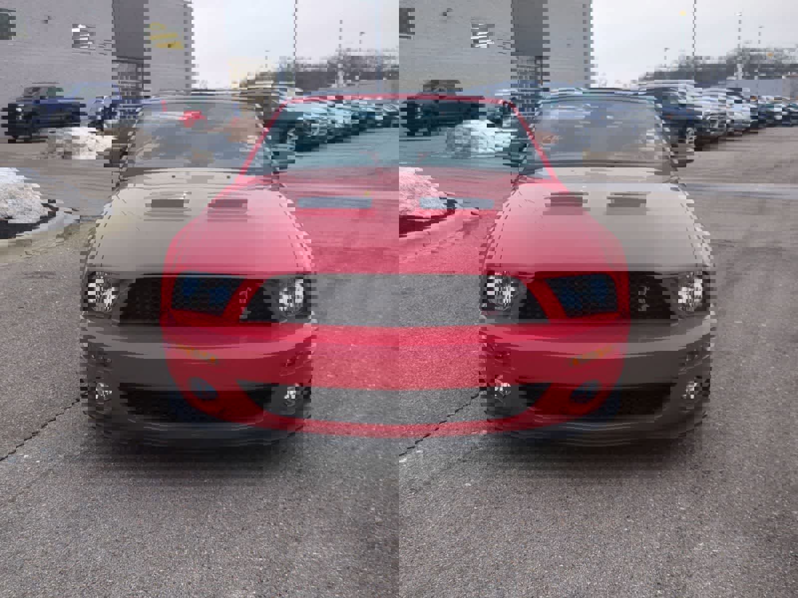 Used 2008 Ford Mustang Shelby GT500 image 3