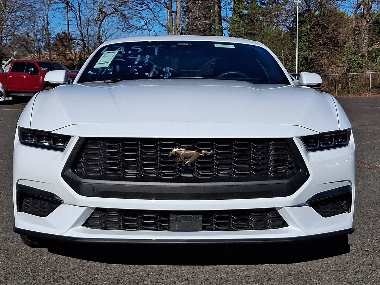 New 2024 Ford Mustang Premium image 2