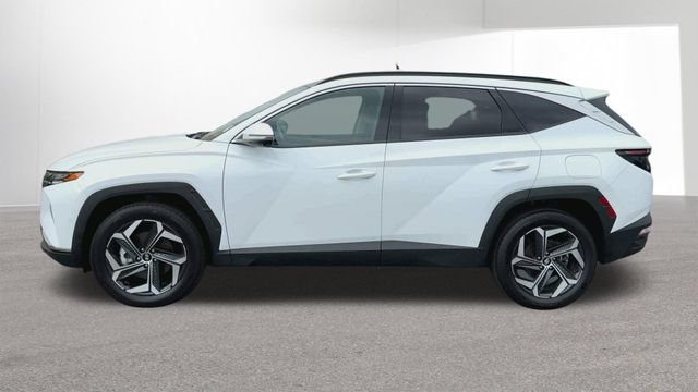 Used 2024 Hyundai Tucson Limited AWD/4WD image 5