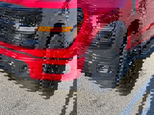New 2025 Ford F150 XLT w/ Equipment Group 302A MID image 9
