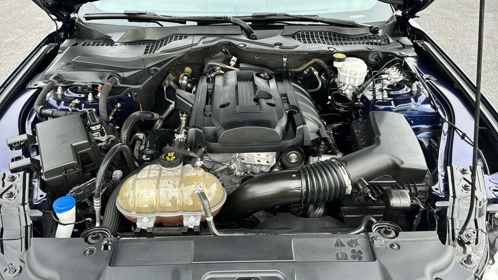 Used 2020 Ford Mustang Coupe w/ Equipment Group 101A RWD image 24