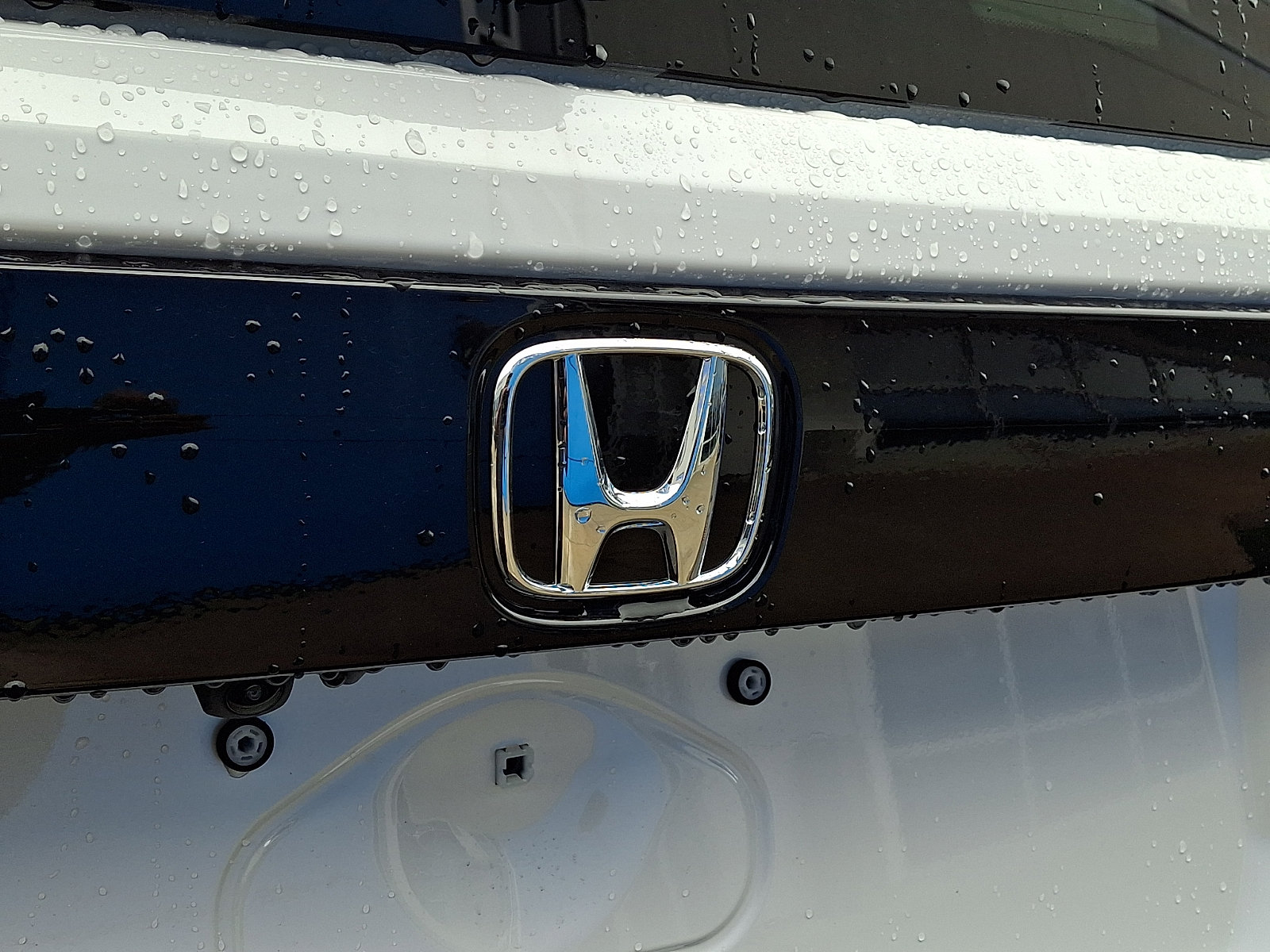 New 2026 Honda Passport TrailSport image 11