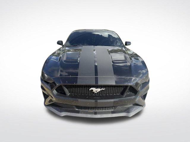 Used 2019 Ford Mustang GT RWD image 4