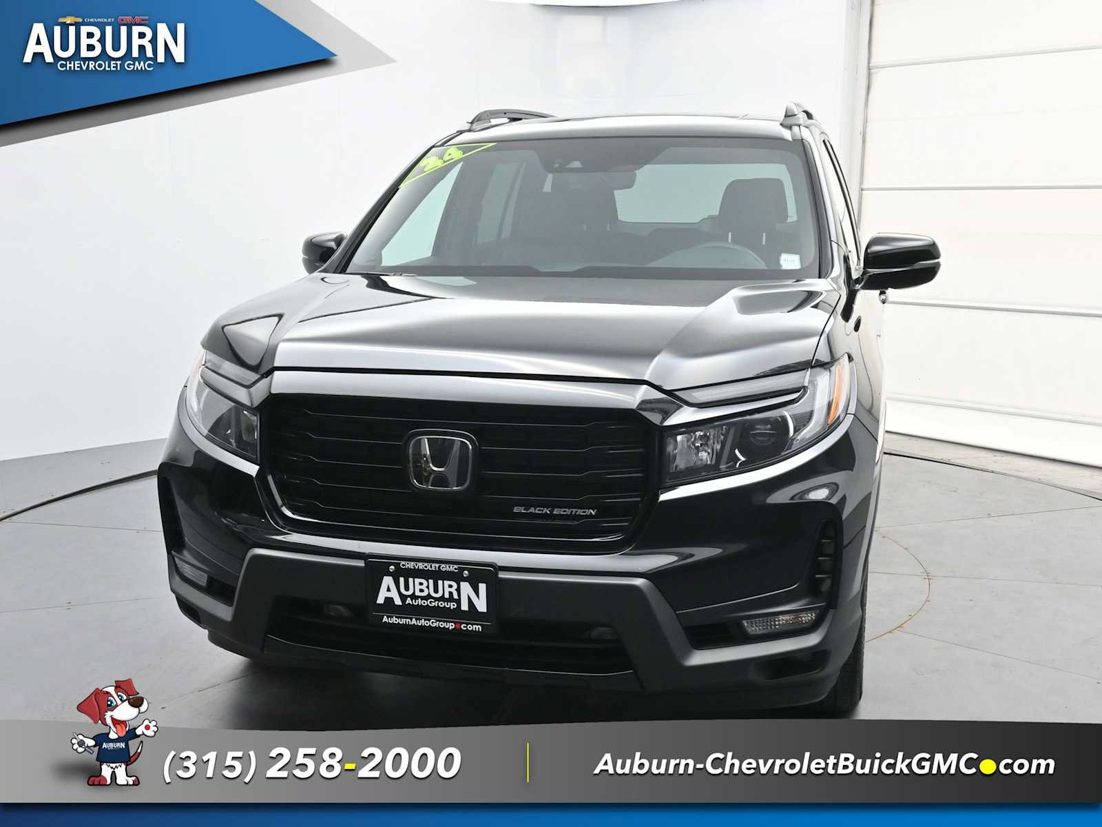 Used 2024 Honda Passport Black Edition image 2