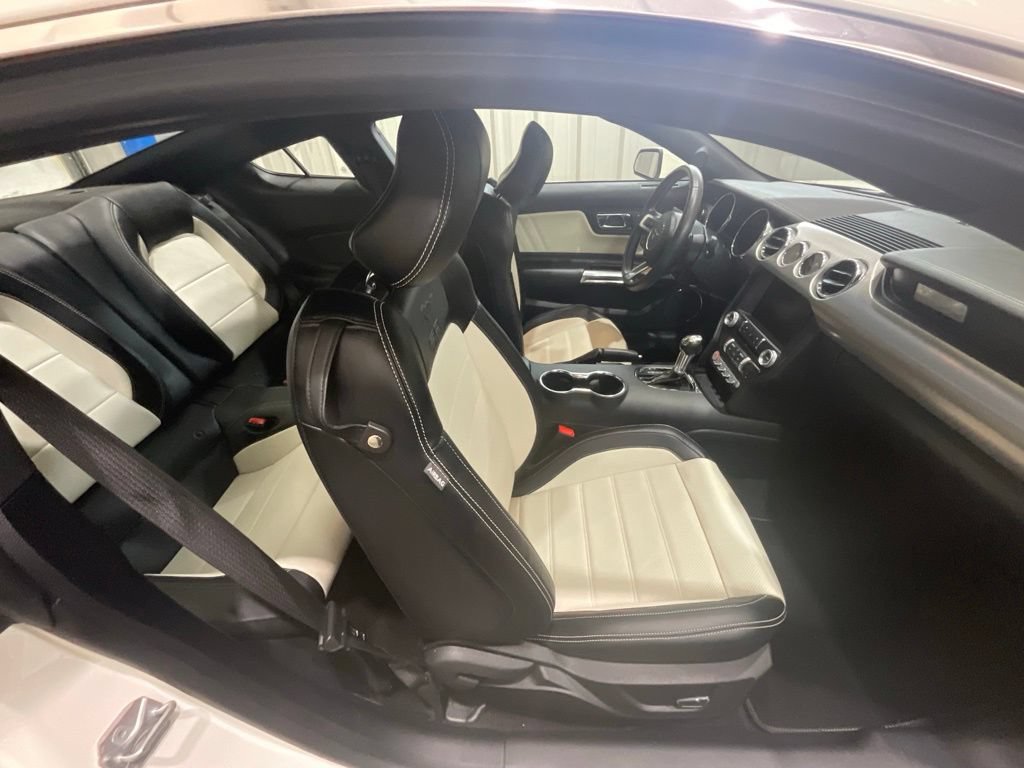 Used 2015 Ford Mustang 50 Years RWD image 12