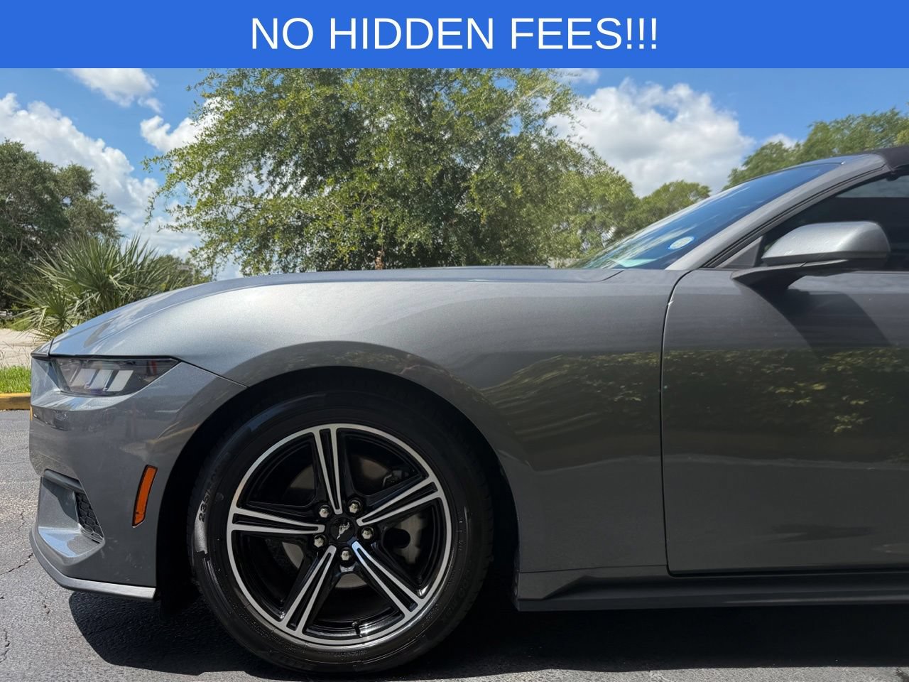 Used 2024 Ford Mustang Premium RWD image 5