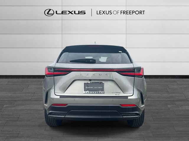 Certified 2023 Lexus NX 350 AWD w/ Cold Area Package image 5