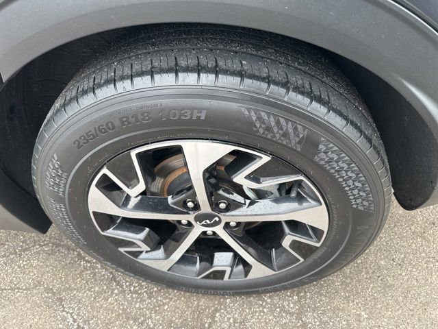 Used 2023 Kia Sportage EX image 6