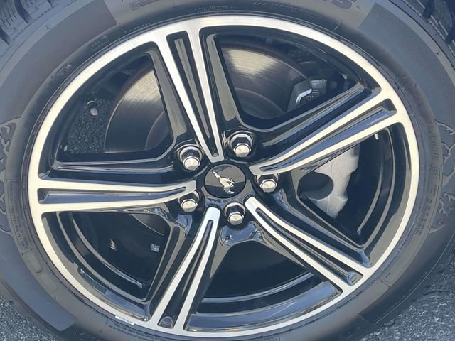 Used 2024 Ford Mustang Premium image 4