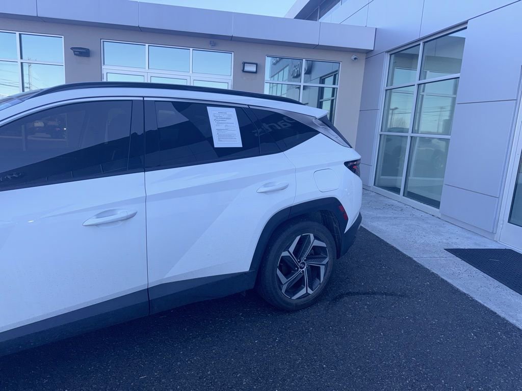 Used 2023 Hyundai Tucson Limited AWD/4WD image 3