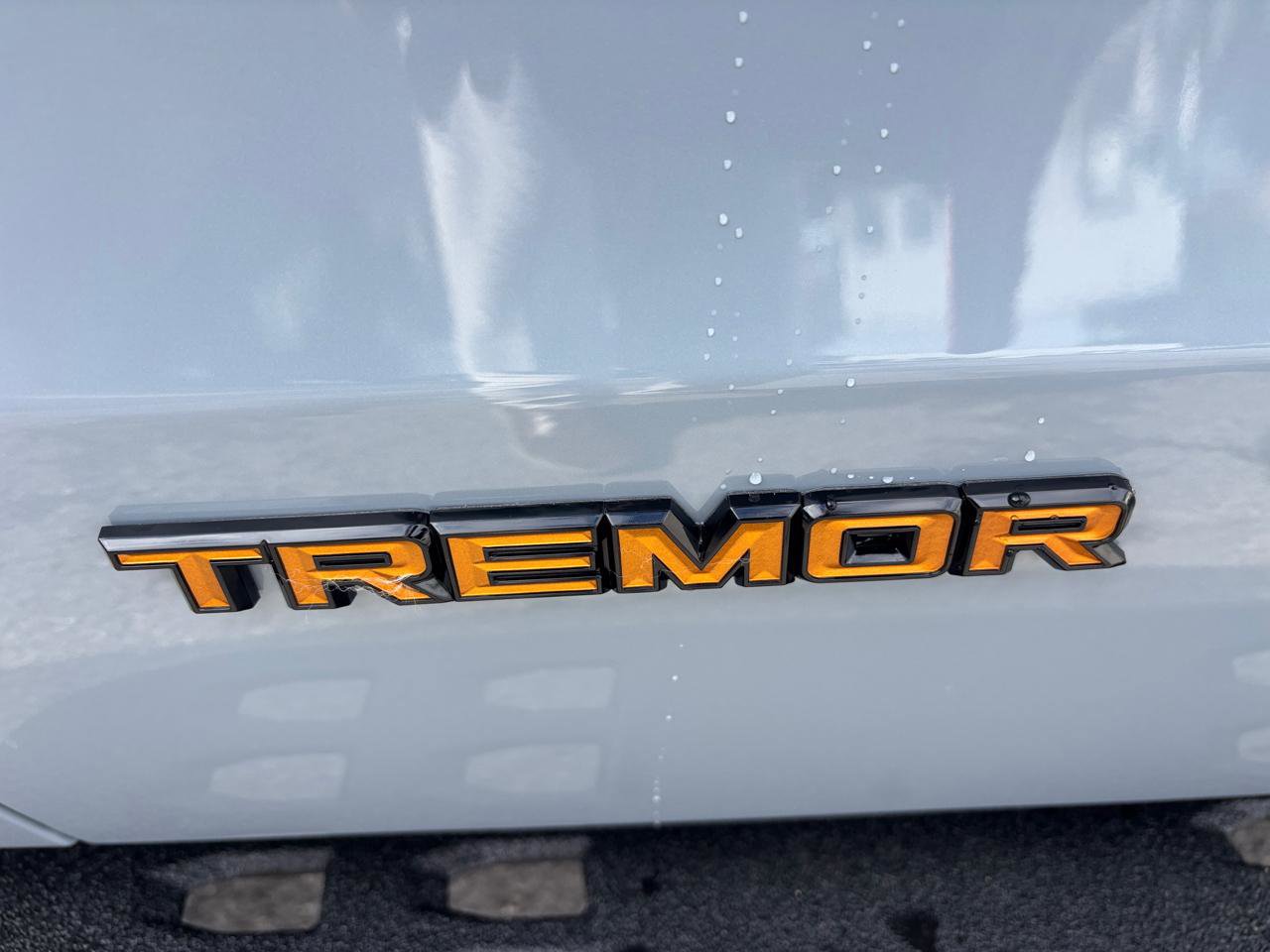 New 2026 Ford Expedition Tremor image 8