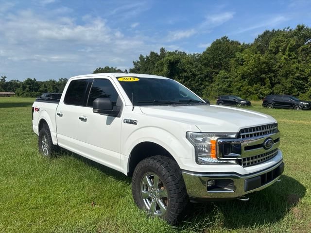 Used 2019 Ford F150 XLT w/ Equipment Group 302A Luxury AWD/4WD image 17