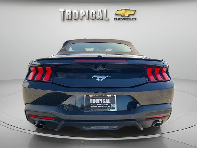 Used 2024 Ford Mustang Premium RWD image 4