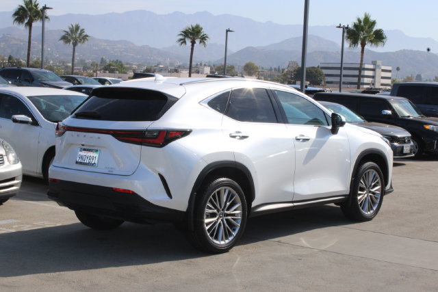 Certified 2025 Lexus NX 350 AWD w/ Cold Area Package image 21