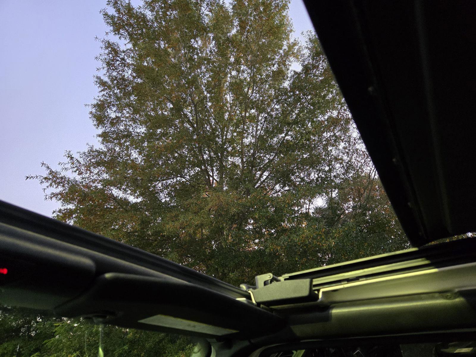 Used 2019 Jeep Wrangler Unlimited Sahara image 42