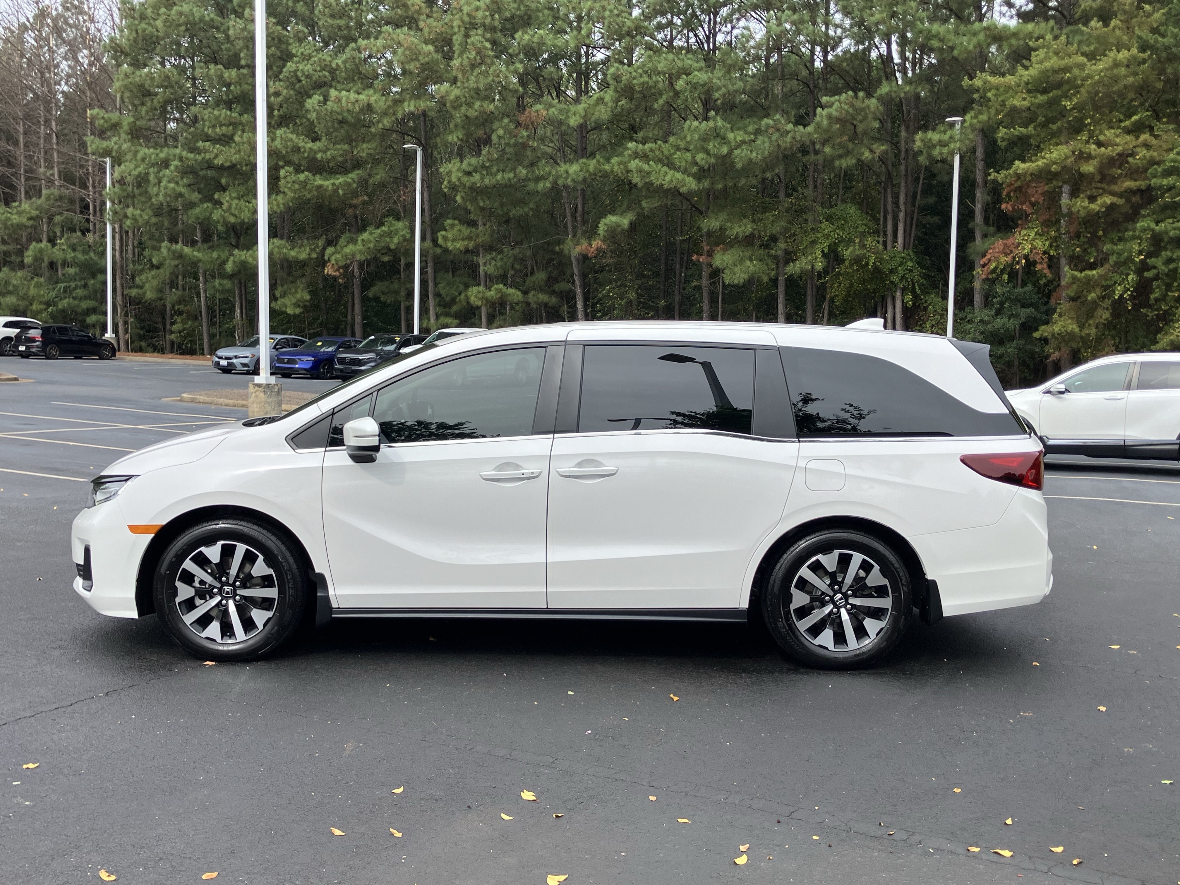 Certified 2026 Honda Odyssey EX-L image 7