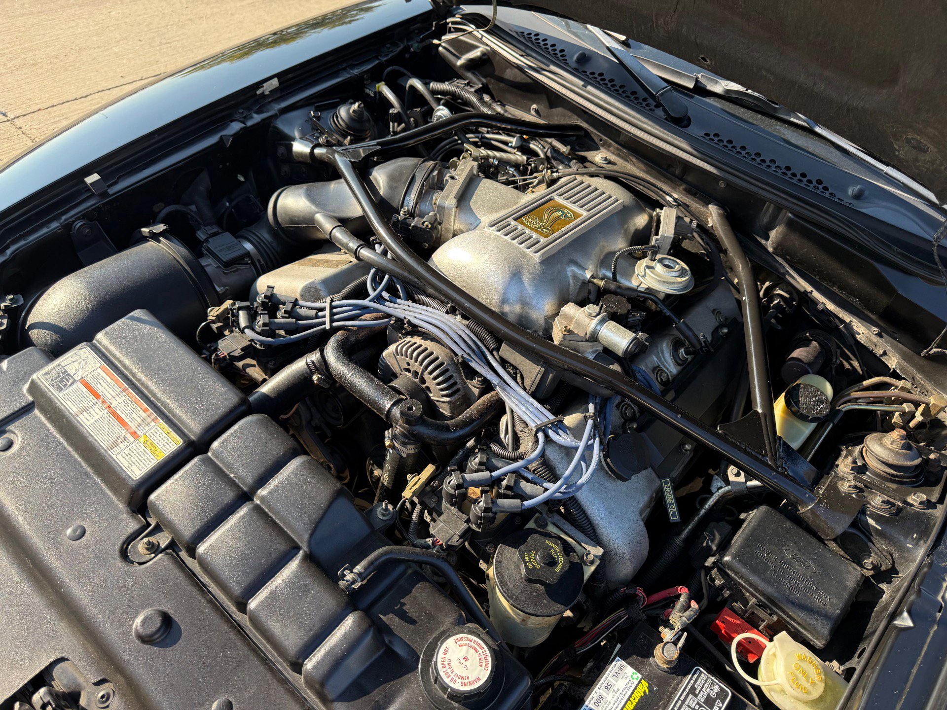 Used 1996 Ford Mustang Cobra image 19