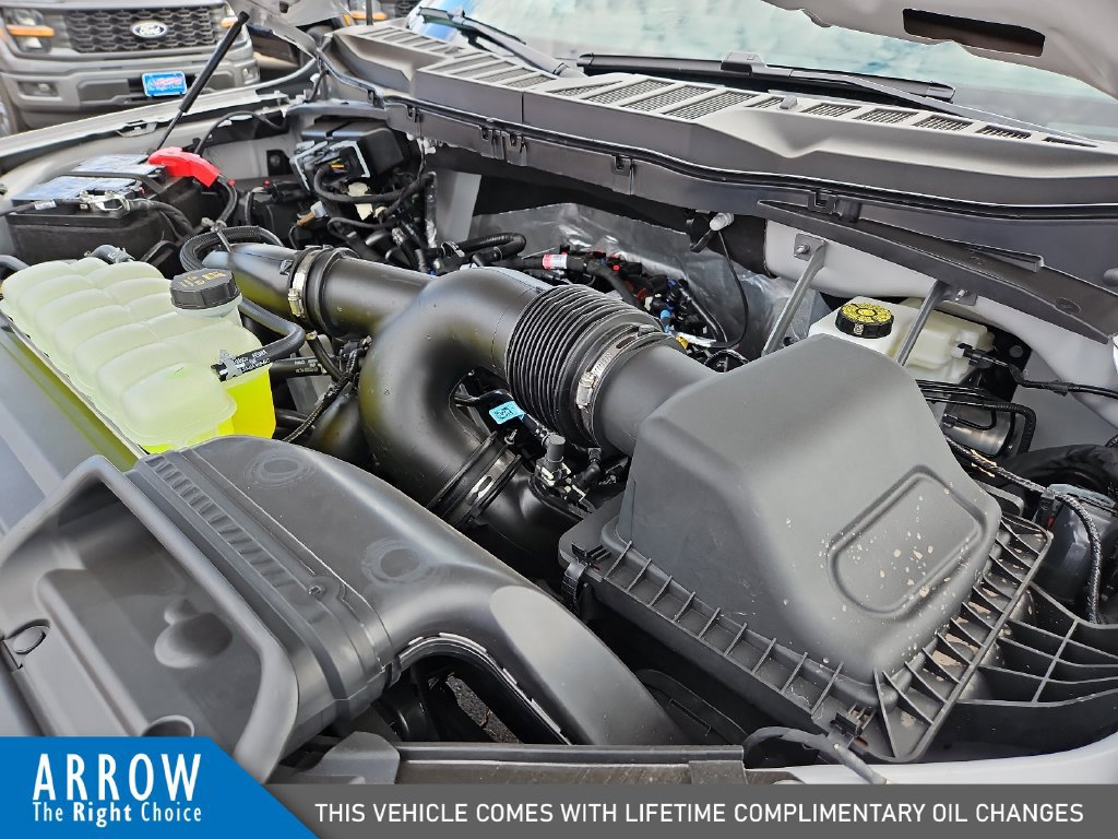 New 2026 Ford F150 STX w/ Equipment Group 200A RWD image 15