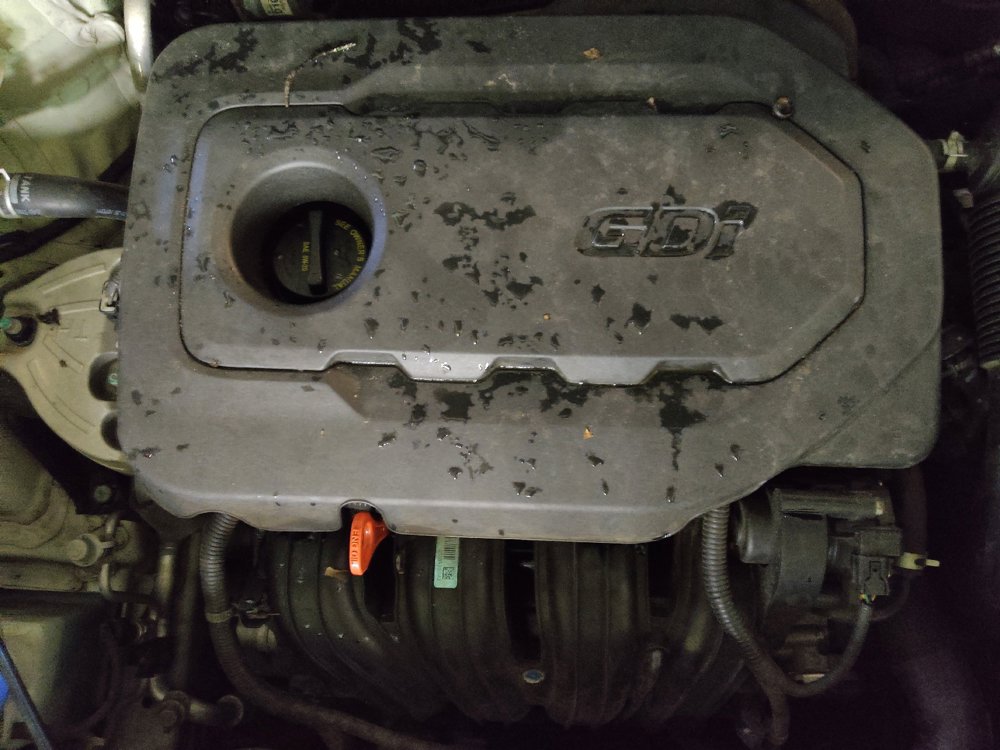Used 2019 Kia Sportage LX FWD image 30