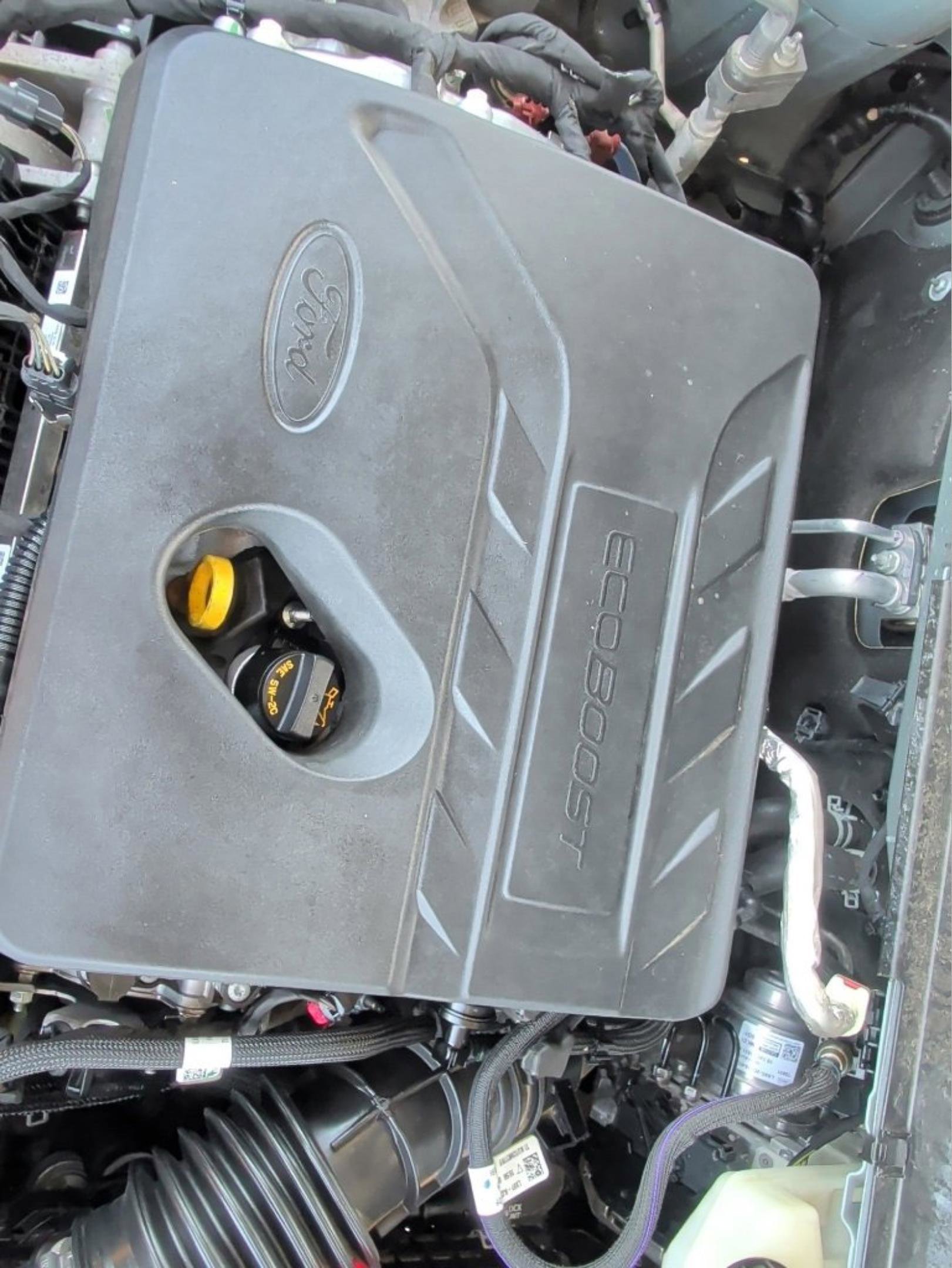 Used 2021 Ford Bronco Sport Big Bend image 22