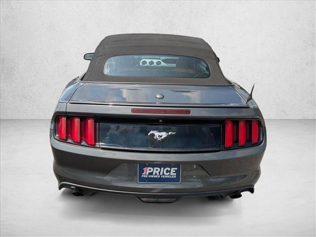 Used 2015 Ford Mustang Premium w/ Equipment Group 201A RWD image 6