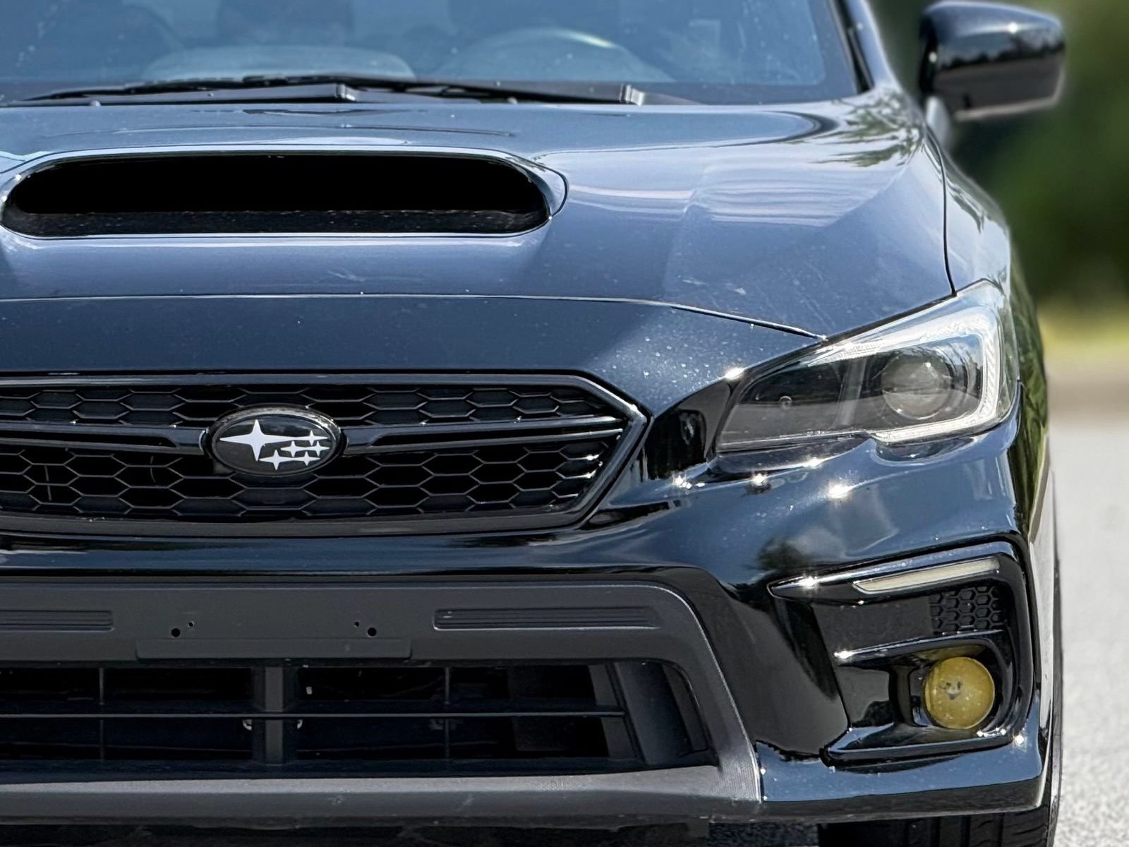 Used 2019 Subaru WRX Premium w/ Popular Package #1 AWD/4WD image 15
