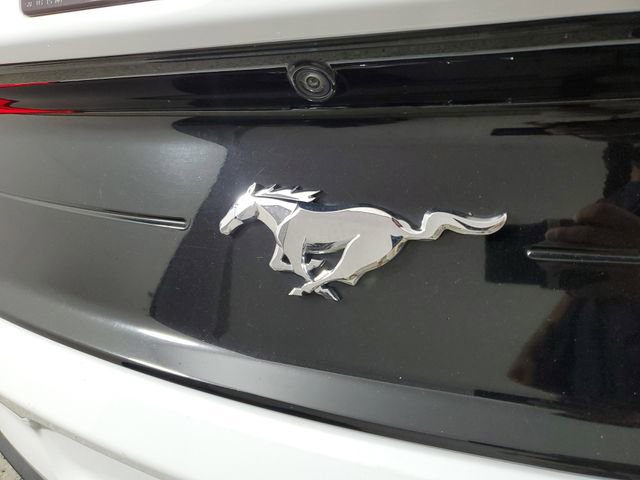 Used 2023 Ford Mustang Premium w/ Equipment Group 201A image 6