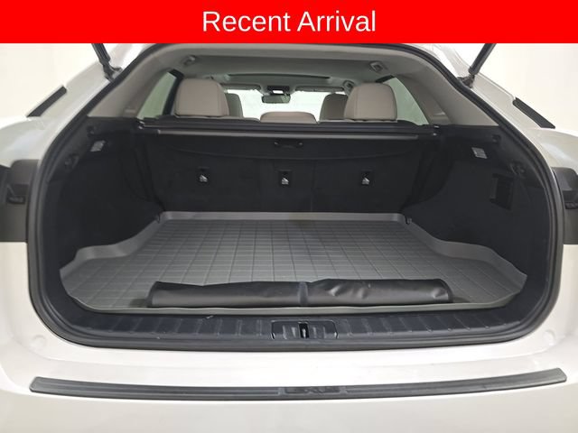 Used 2019 Lexus RX 450h AWD w/ Cold Area Package image 13